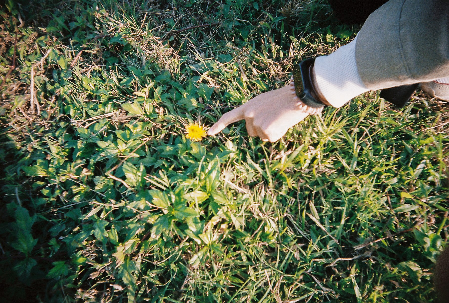 RETO Ultra Wide Slim Filmkamera Pastellrosa