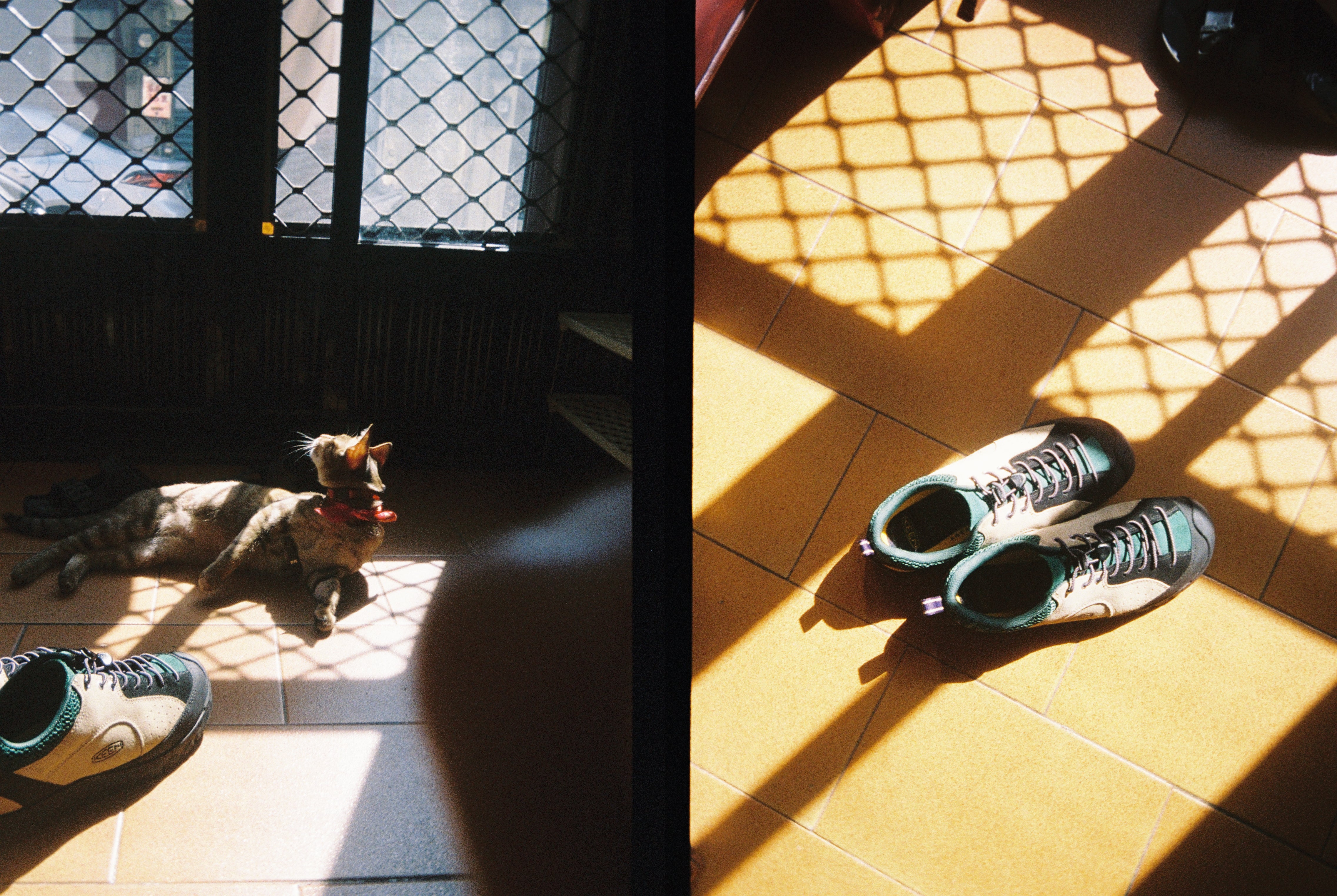 Cámara de película KODAK EKTAR H35 Half Frame Negra + Kodak Ultramax 24EXP