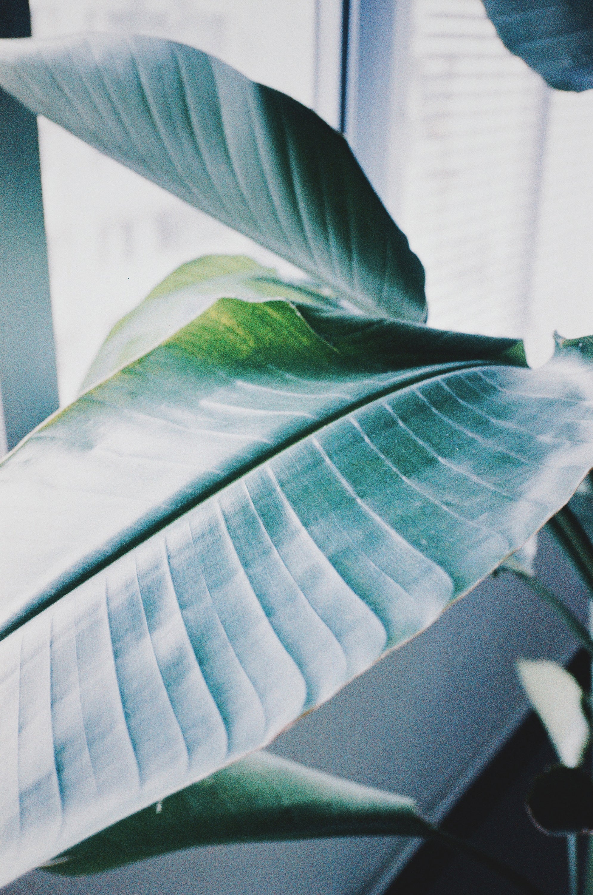 Retocolor Aqua 400 35MM PELÍCULA NEGATIVA EN COLOR 27EXP