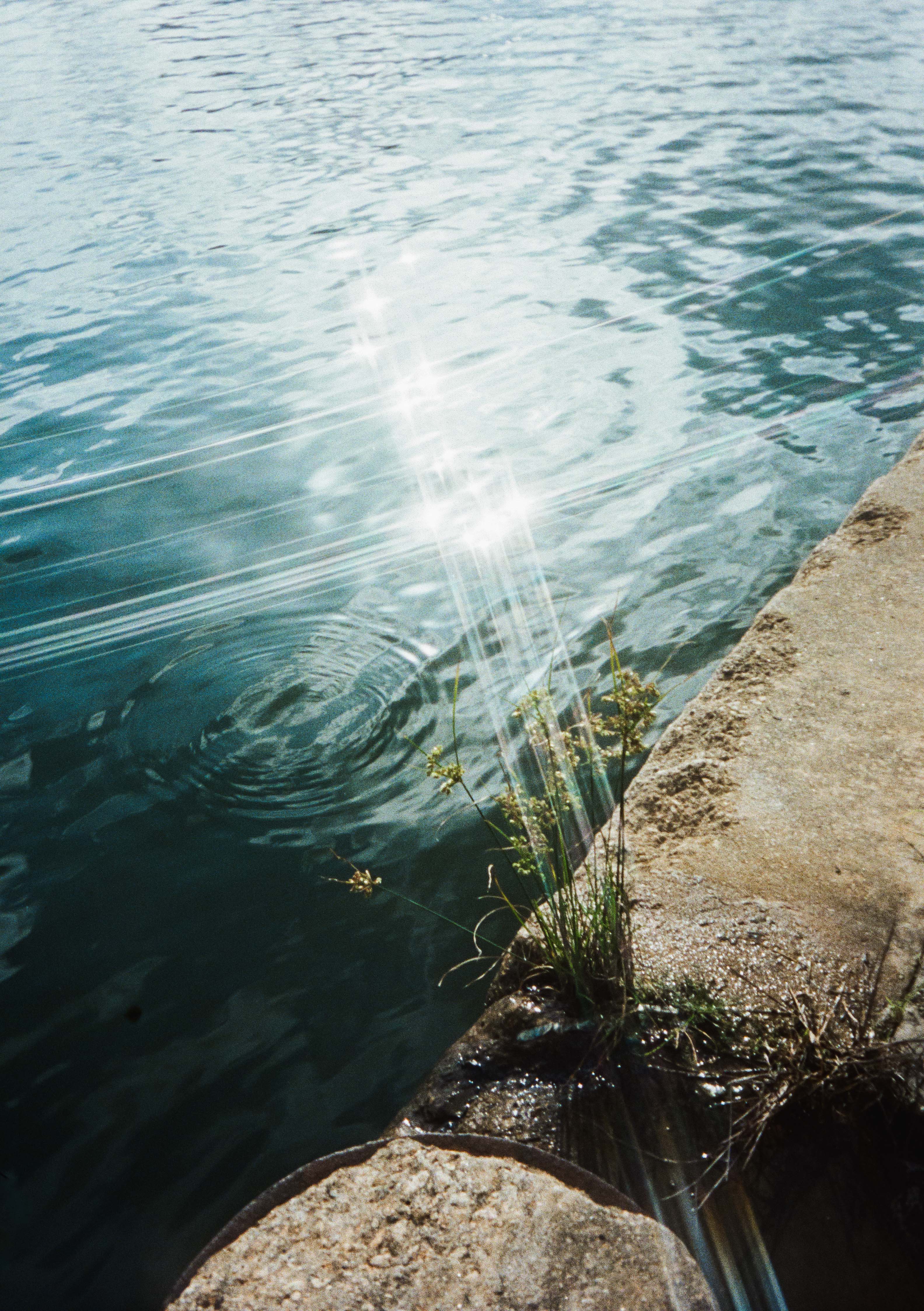 KODAK EKTAR H35N 半格菲林相機 亮粉紅色 + Kodak Ultramax 24張