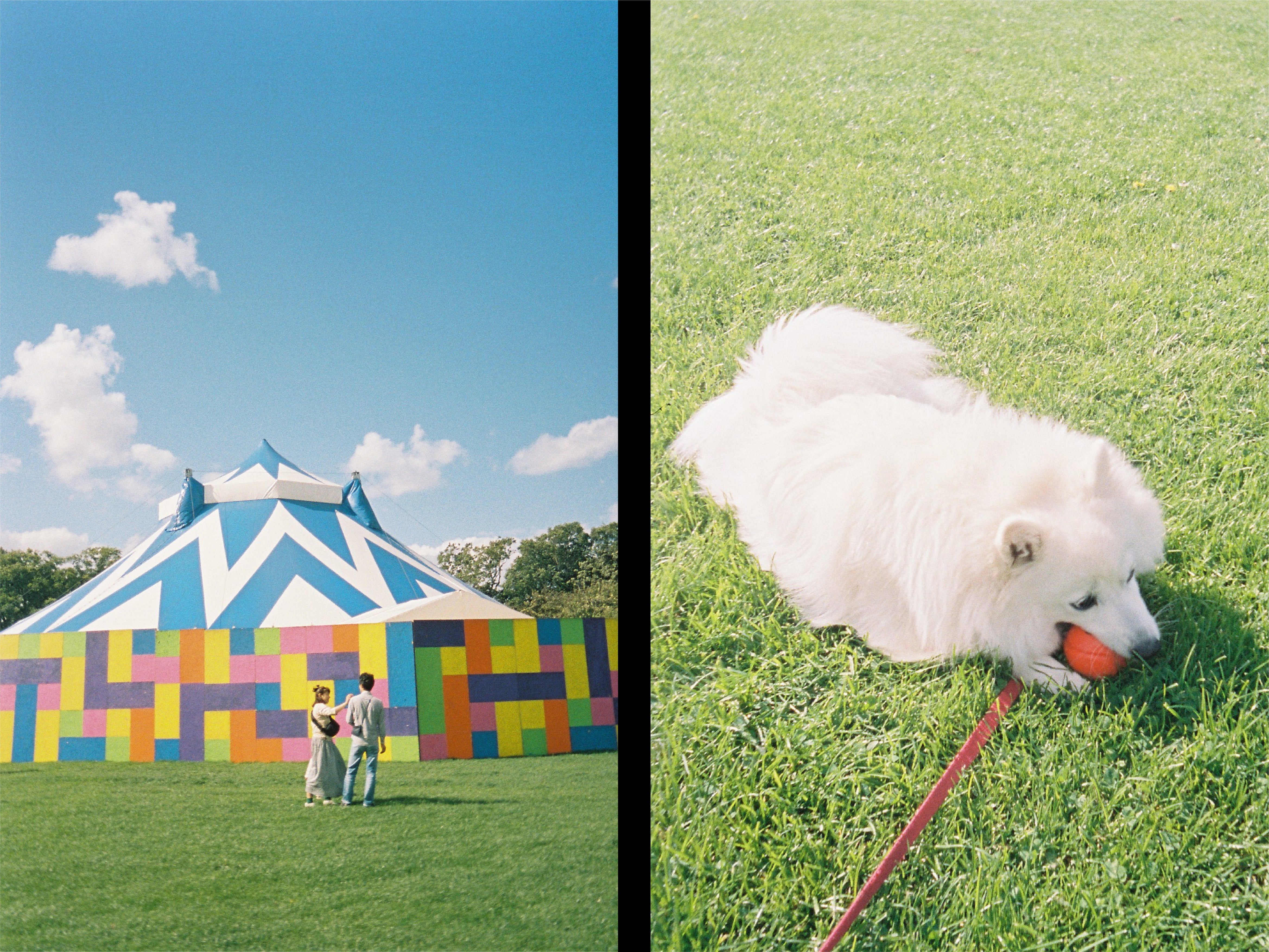 KODAK EKTAR H35N 半格菲林相機 亮粉紅色 + Kodak Ultramax 24張