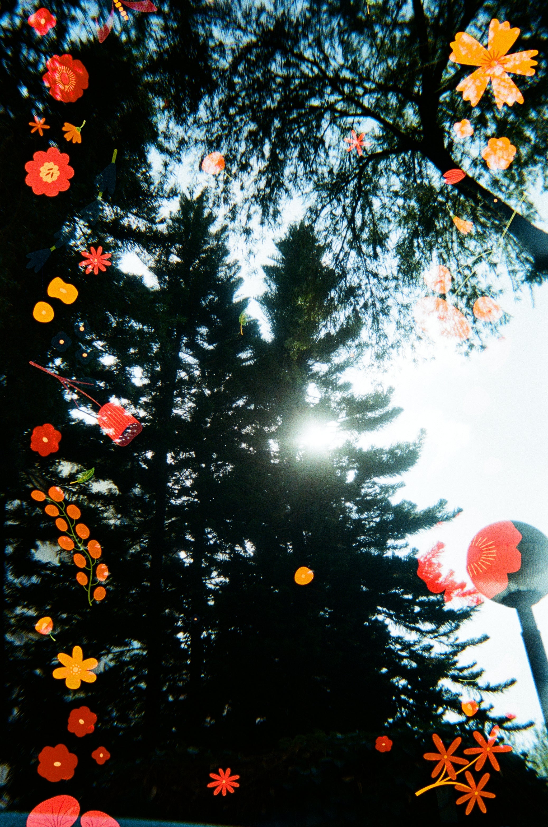 Retocolor Blossom 400 35MM Einwegkamera 27 Aufnahmen *NEU