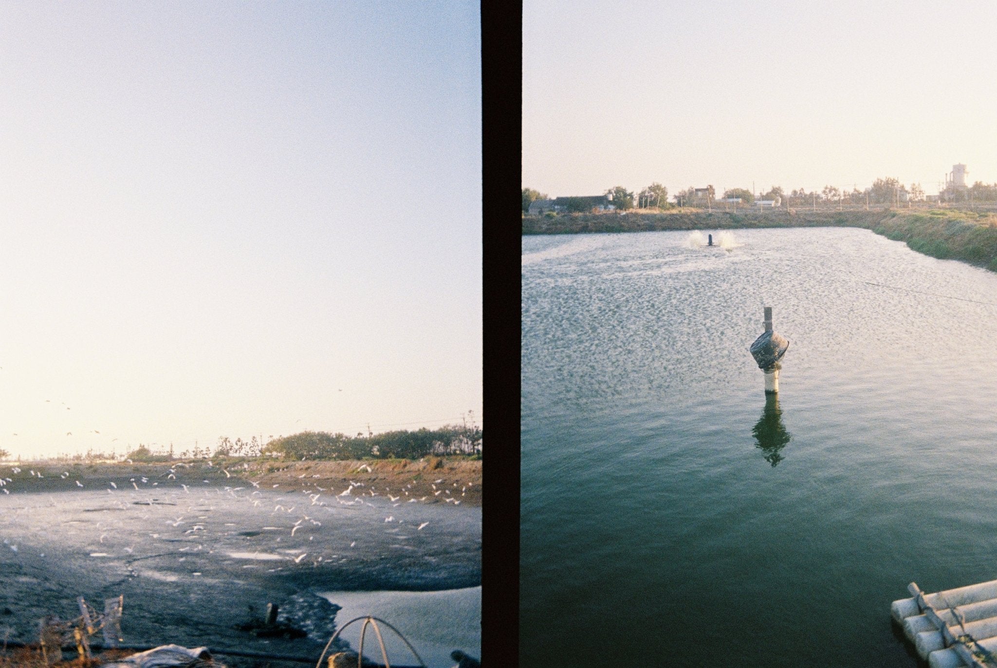 KODAK EKTAR H35 Half Frame Film Camera Sage + Kodak Ultramax 24EXP - BangOn