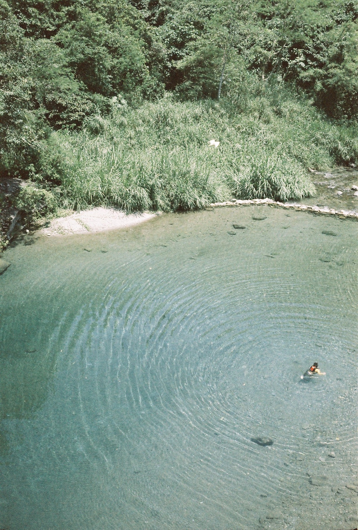 Retocolor Aqua 400 35MM COLOR NEGATIVE FILM 27EXP Film Camera - BangOn
